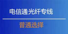 电信通光纤专线